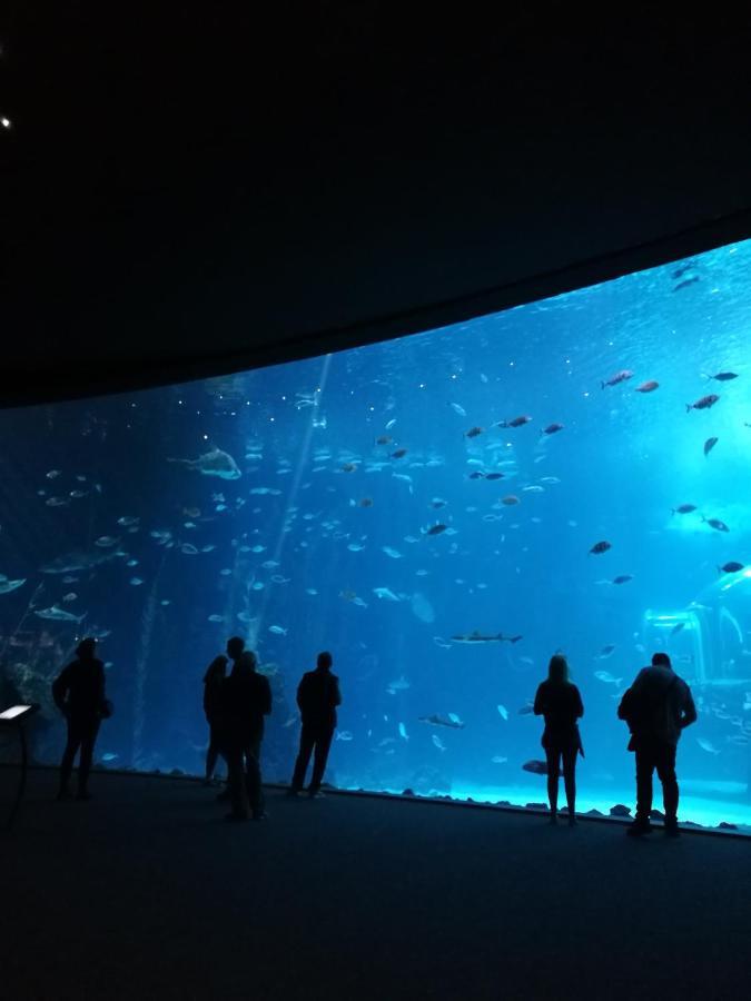 Las Canteras Aquarium Las Palmas Exterior photo