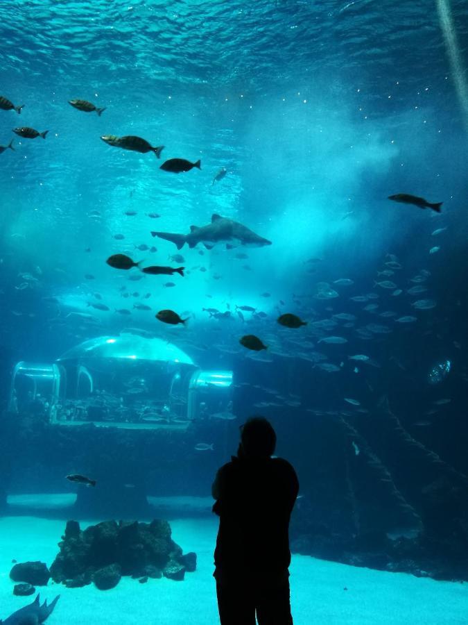 Las Canteras Aquarium Las Palmas Exterior photo
