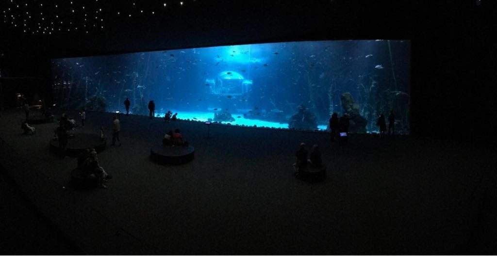 Las Canteras Aquarium Las Palmas Exterior photo